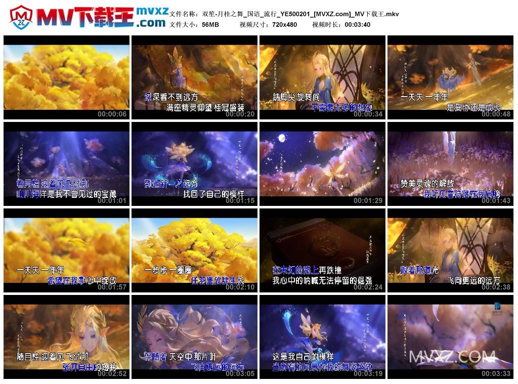 双笙-月桂之舞_国语_流行_YE500201